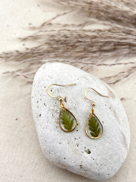 Sweet little Fern - Teardrop Earrings